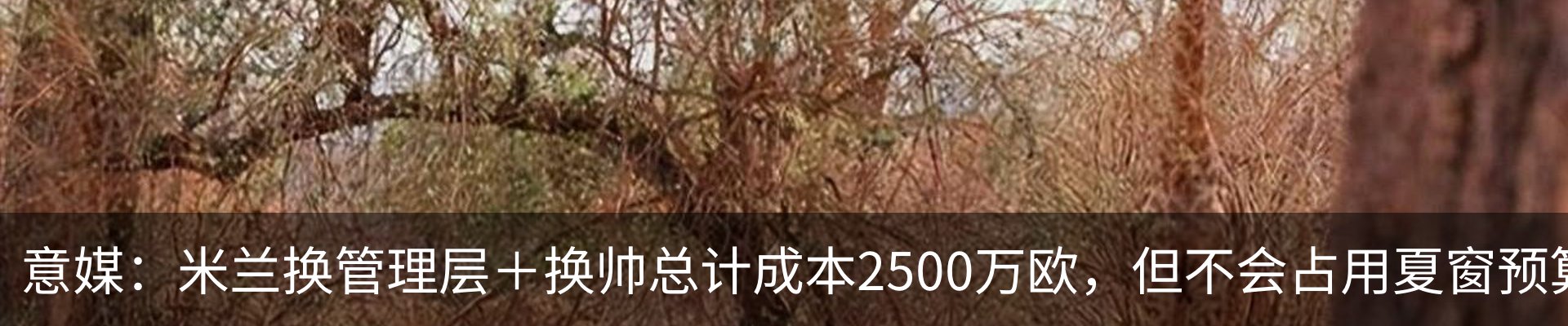 热点资讯