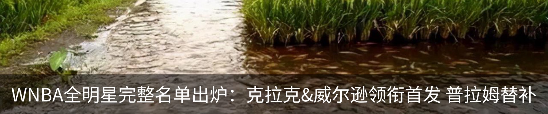 热点资讯